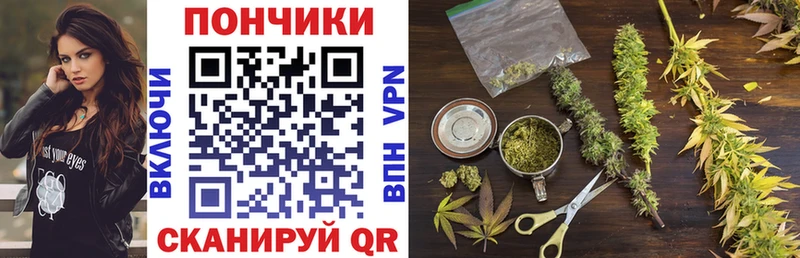 дарнет шоп  Смоленск  МАРИХУАНА Ganja 